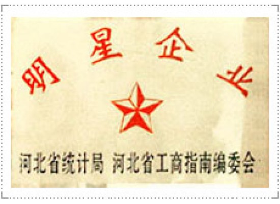 明星企業(yè)